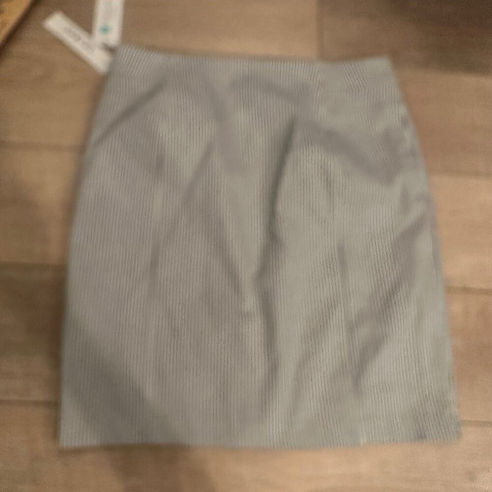 TRIBAL WOMENS TYLA BLUE WHITE PIN STRIP SKIRT NEW SIZE 12 STITCH FIX